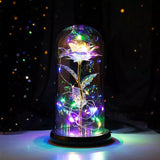 Rose in Glass Dome Eternal Forever Flower LED