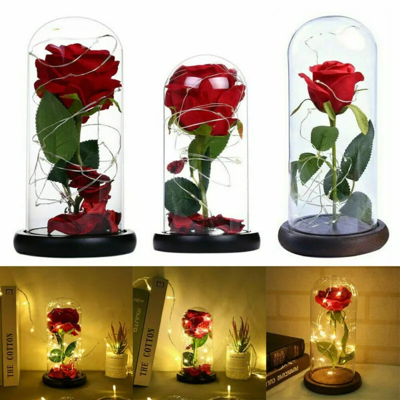 Rose in Glass Dome Eternal Forever Flower LED